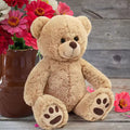 Brown Teddy Bear Stuffed Animals, 12'' Cute Plush Teddy Bear Toy,