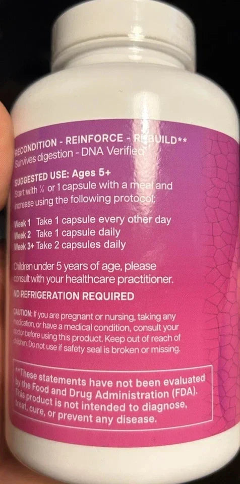 Advanced Probiotic Formula 180 Capsules | Spore-Based Digestive Wellness Supplement